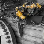 Grumserhof Lägenhet