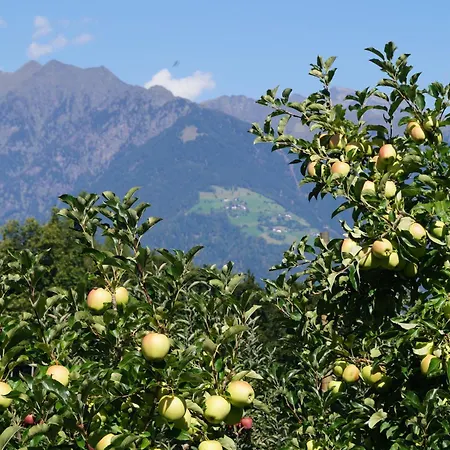 Grumserhof アパート