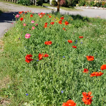 Grumserhof מראנו