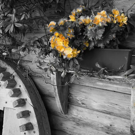 Grumserhof Apartamento