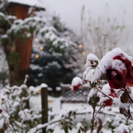 דירה Grumserhof מראנו