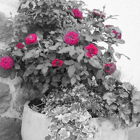 Apartamento Grumserhof