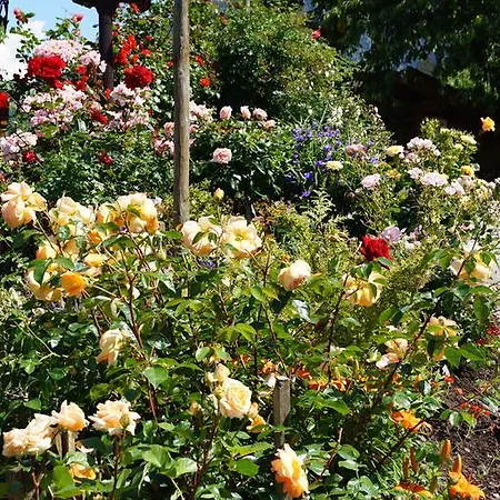 شقة Grumserhof *