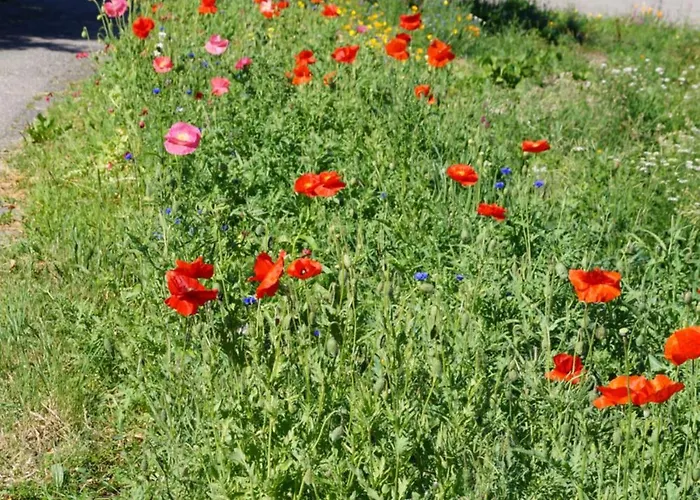 Grumserhof מראנו