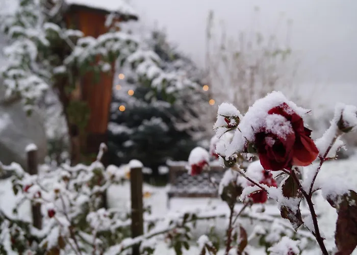 公寓 Grumserhof 梅拉诺