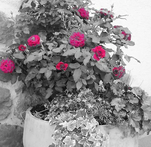 アパート Grumserhof