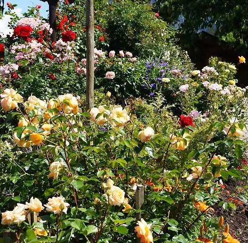 דירה Grumserhof *