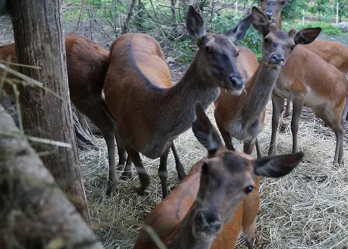 Grumserhof メラーノ